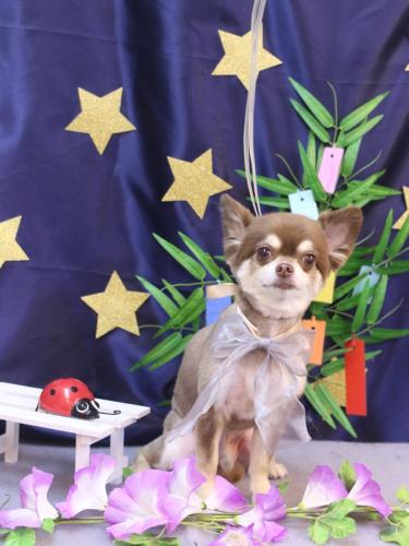 20230711むぎちゃん